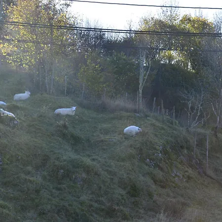 Feriehus In Manger, Radøy Island Kolstad