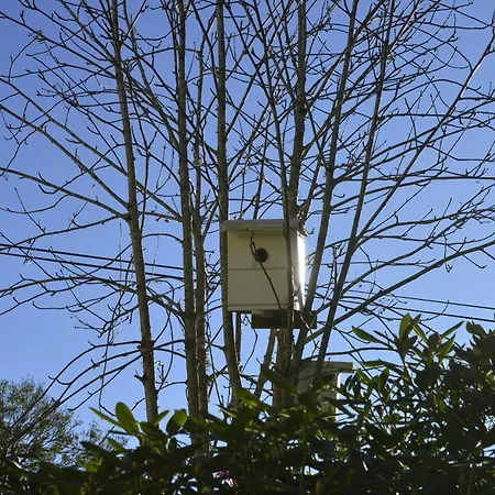 Casa vacanze In Manger, Radoy Island Kolstad