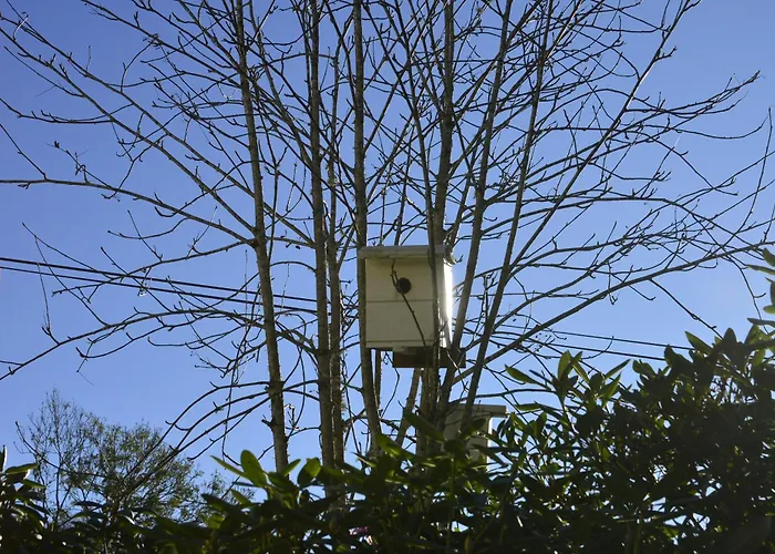Vakantiehuis In Manger, Radoy Island Kolstad
