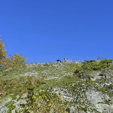 In Manger, Radoy Island Ferienhaus Kolstad