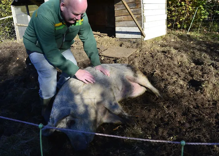 Ferienhaus In Manger, Radoy Island Kolstad