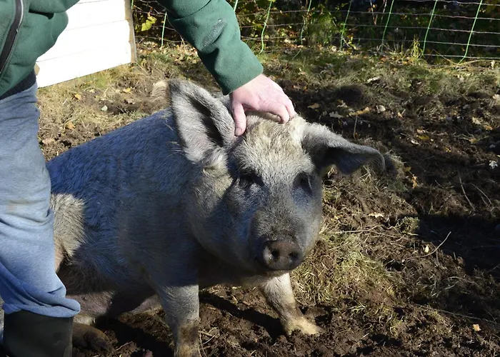 In Manger, Radoy Island